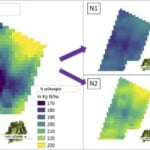 TalkingFields NMAnager Pro Repce
