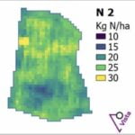 TF N-Manager Pro Gabona