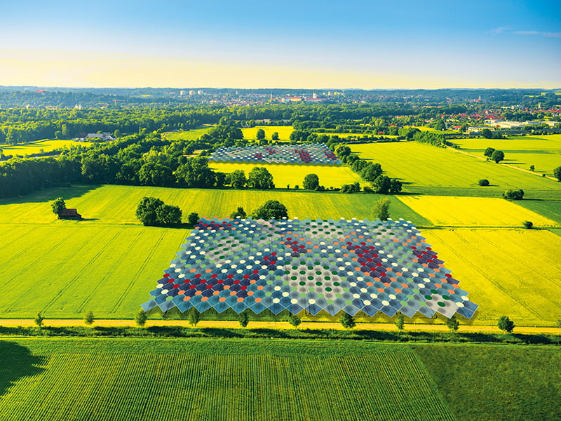 Feld von oben mit Erkennung der teilflächenspezifischen Aussaat.